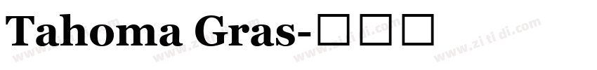 Tahoma Gras字体转换